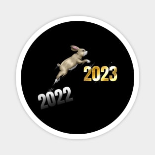 Rabbit Hopping From 2022 To 2023 Happy Chinese New Year Magnet